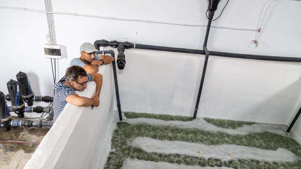 Cebrián y Prieto observan el proceso de activación del color.