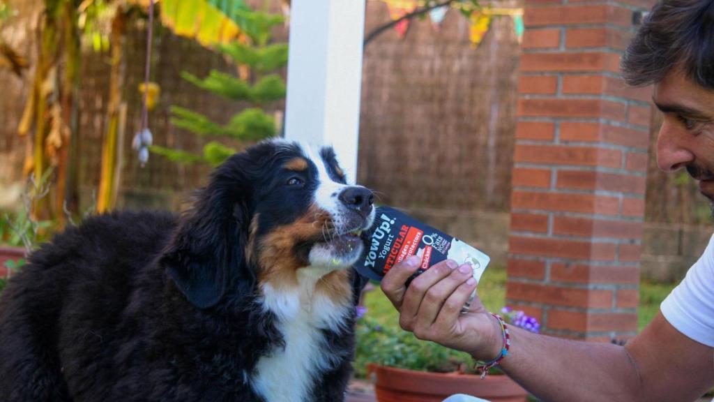 Pablo con su perro, Otto Magallanes, mientras come un yogur.