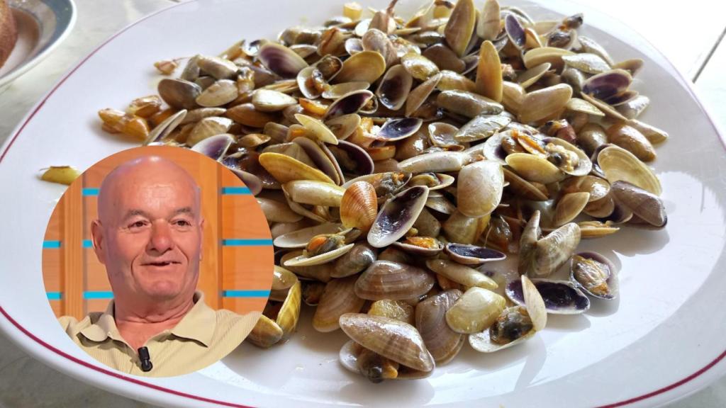 Las coquinas al ajillo son uno de los platos estrellas del verano, especialmente en localidades costeras