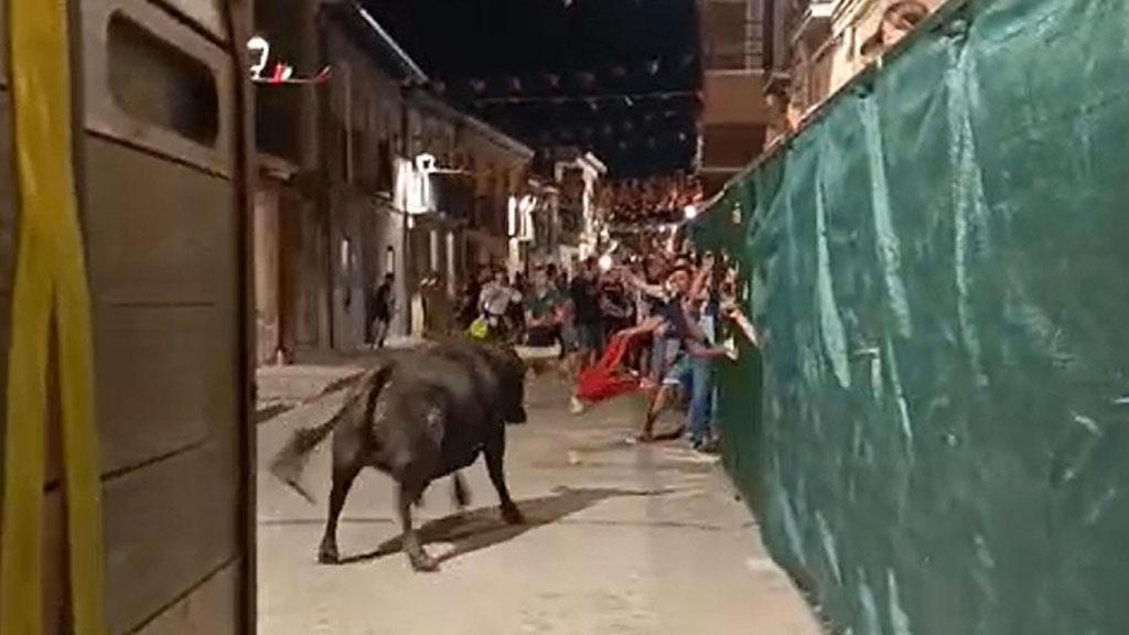 Fotografía del toro del cajón en Cigales en la madrugada de este sábado.