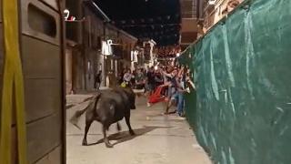 Fotografía del toro del cajón en Cigales en la madrugada de este sábado.