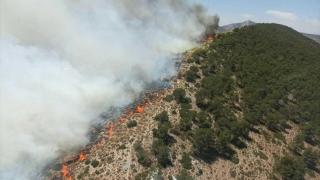 Incendio declarado en Villena.