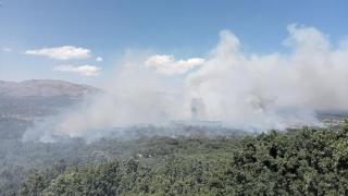 La Junta rebaja al nivel 1 el incendio de Navaluenga