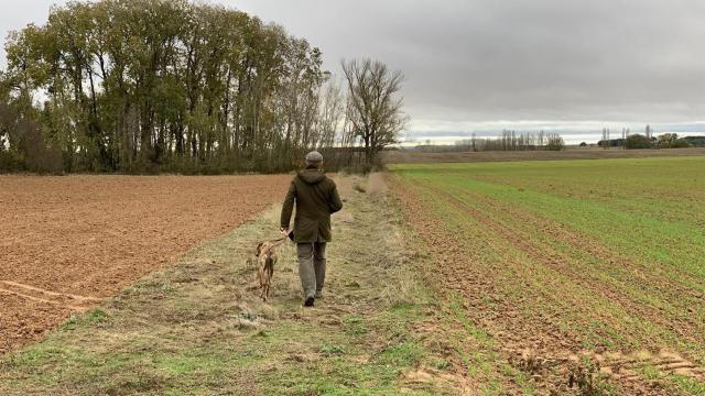 Réquiem por un campesino español