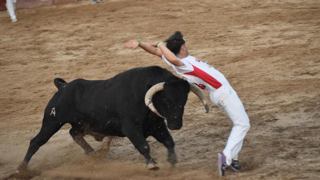El Cortador Dani Alonso ganador del concurso de Cigales