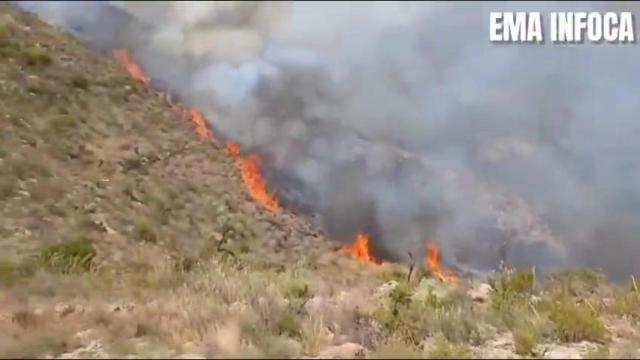 Lucha de los bomberos forestales de Andalucía contra un incendio en la provincia de Almería.