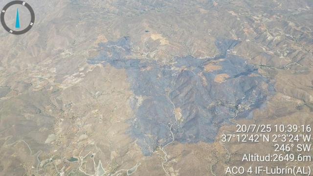 Vista de los terrenos afectados por el incendio forestal.