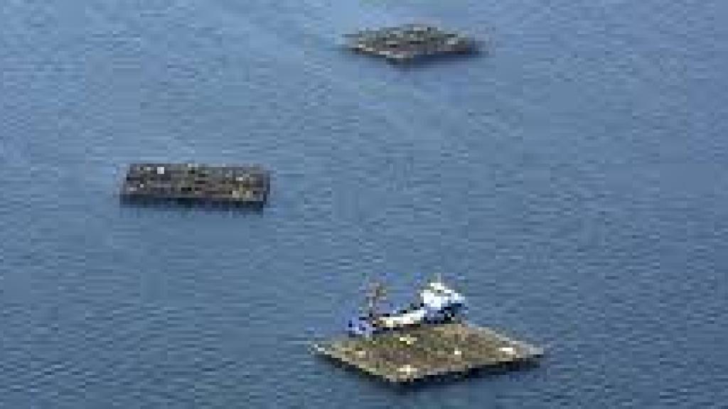 Bateas en Boiro (A Coruña)