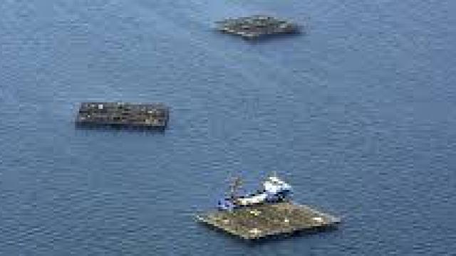 Bateas en Boiro (A Coruña)