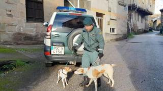 Una patrulla del Seprona en la provincia de León