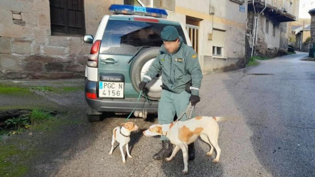 Una patrulla del Seprona en la provincia de León