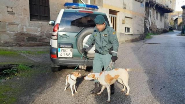 Una patrulla del Seprona en la provincia de León