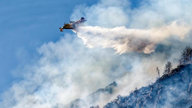 Medios actúan contra un incendio forestal en Ávila.