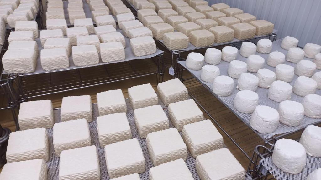 Los quesos que produce Correal están elaborados exclusivamente con la leche de su rebaño.