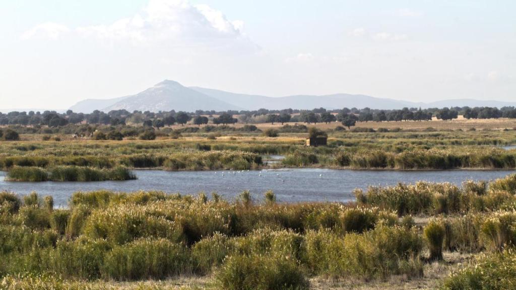 Parque nacional de las Tablas de Damiel en España.