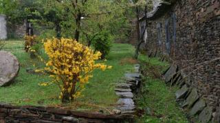 Rincones de Majaelrayo