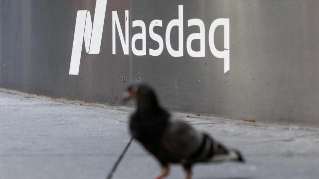 Una paloma camina frente a la sede del Nasdaq en Nueva York (EEUU).