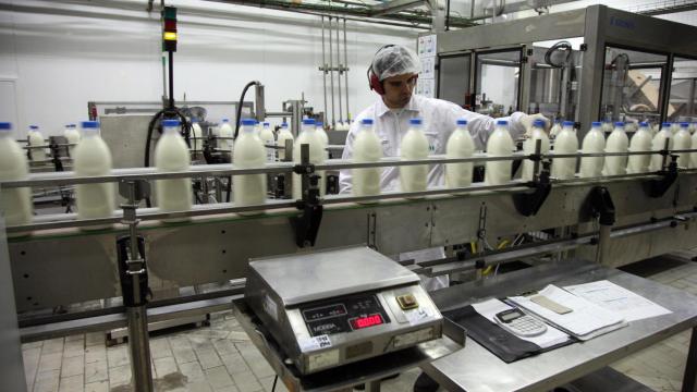 Línea de producción de leche fresca en una factoría de Valladolid