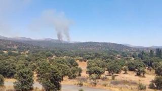 El incendio de Navaluenga se reactiva y obliga a elevar a nivel uno la alerta por riesgo para el arbolado
