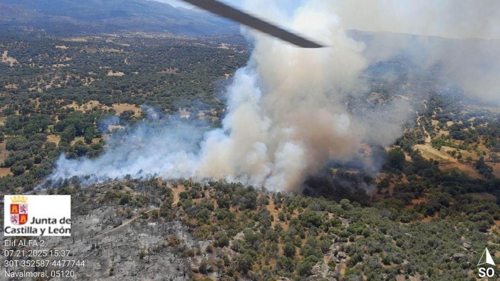 Reactivación del incendio forestal de Navaluenga