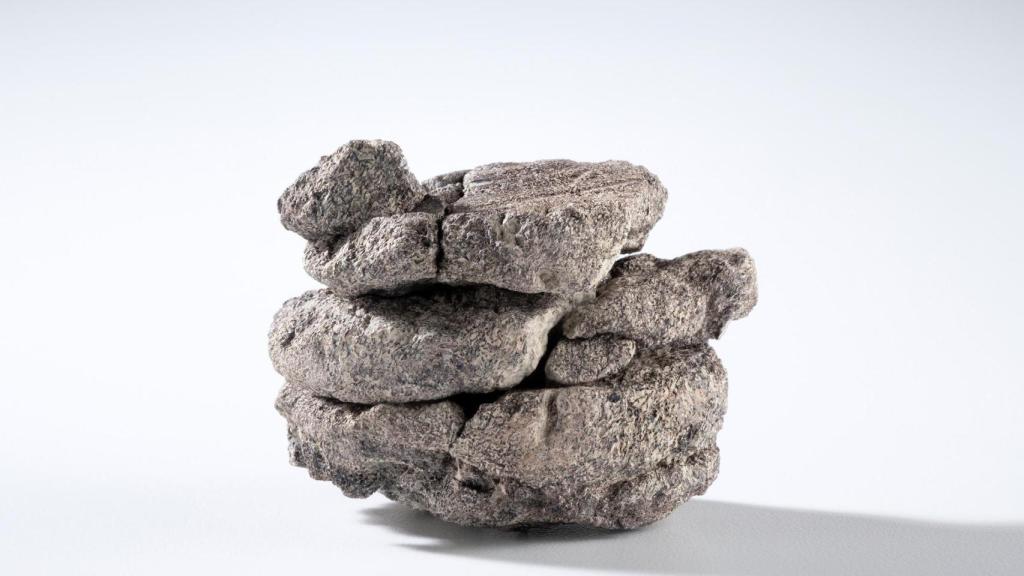 Fragmento del hueso de dinosaurio recuperado, perforado a 230 metros de profundidad en el estacionamiento del Museo en City Park. El espécimen se encuentra en el Museo de Naturaleza y Ciencia de Denver, cortesía de History Colorado, Oficina del Arqueólogo Estatal.