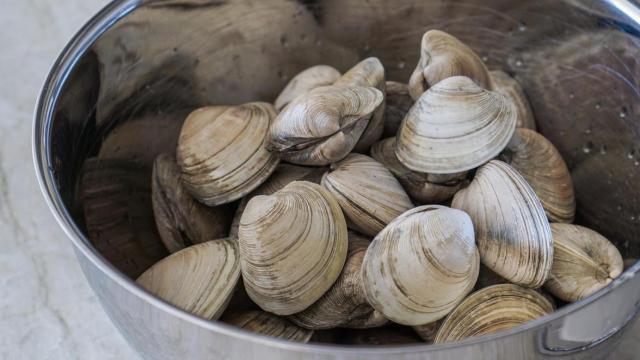 Javier Muñoz, pescadero con 30 años de oficio: Si queréis quitar la arena a las almejas este es el truco