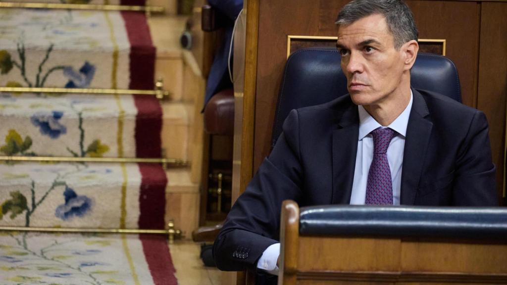 Pedro Sánchez el pasado 9 de julio en el Congreso.