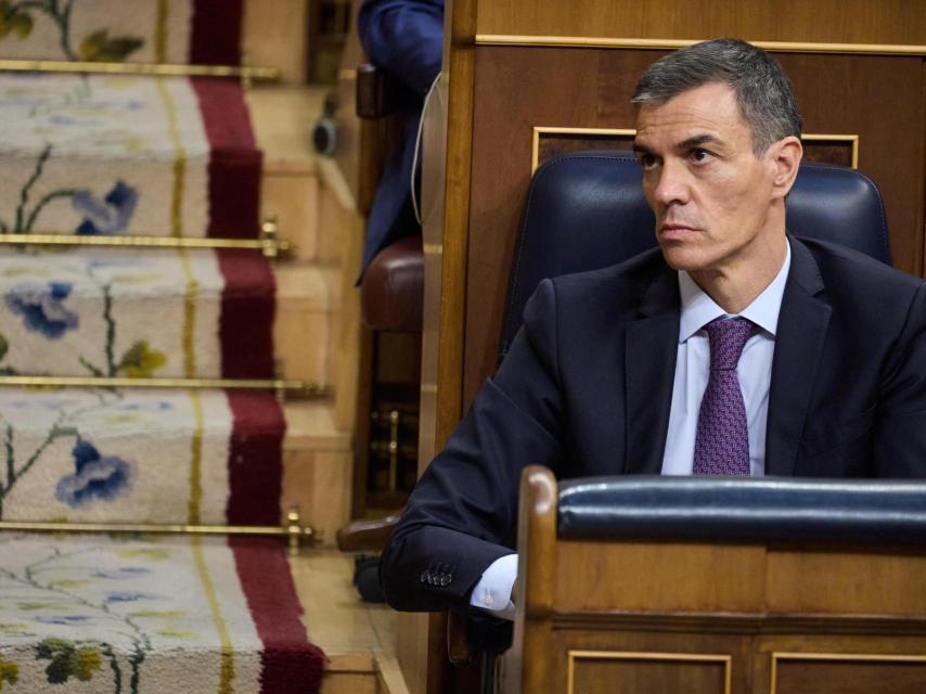 Pedro Sánchez el pasado 9 de julio en el Congreso.
