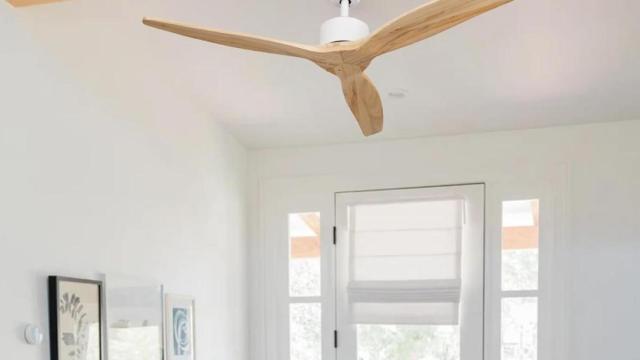 Los mejores ventiladores de techo del 2025: silenciosos, potentes y decorativos