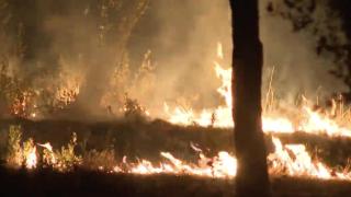 Una imagen del incendio en la Casa de Campo.