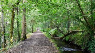 Una de las maravillas naturales de Galicia