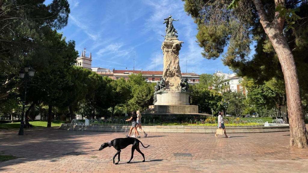 Un perro suelto en la plaza de los Sitios de Zaragoza.