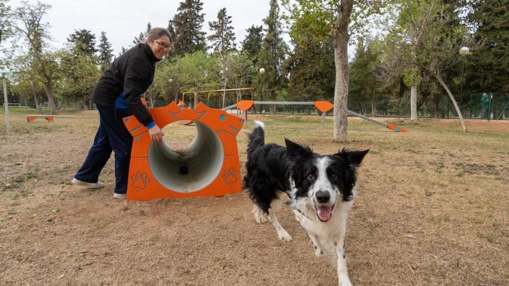 Una zona de esparcimiento canino en Zaragoza.