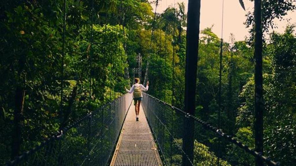 Paseo naturaleza Toroverde