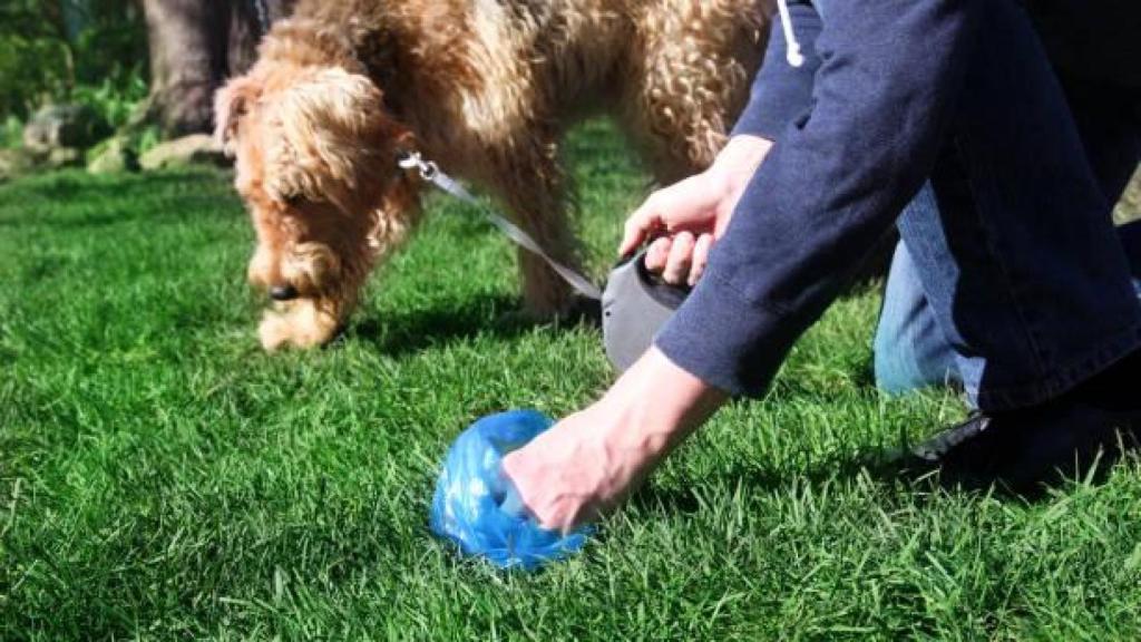 Una persona recogiendo los excrementos de su perro.