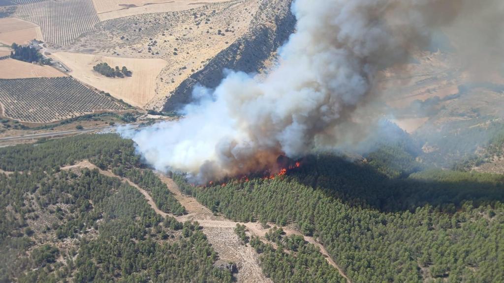 El incendio forestal de Antequera.