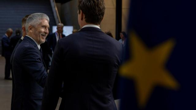 El ministro del Interior, Fernando Grande-Marlaska.