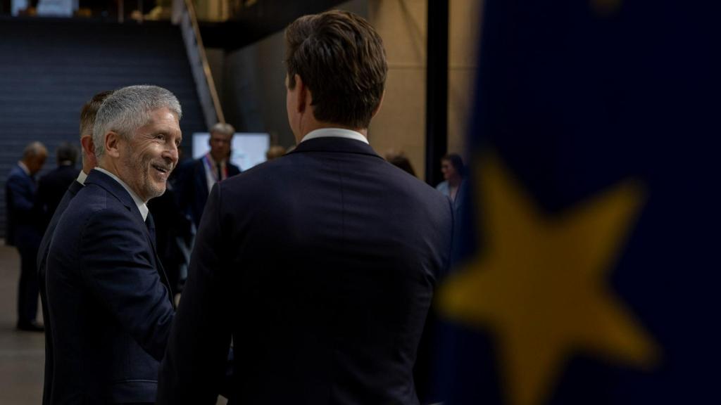 El ministro del Interior, Fernando Grande-Marlaska.