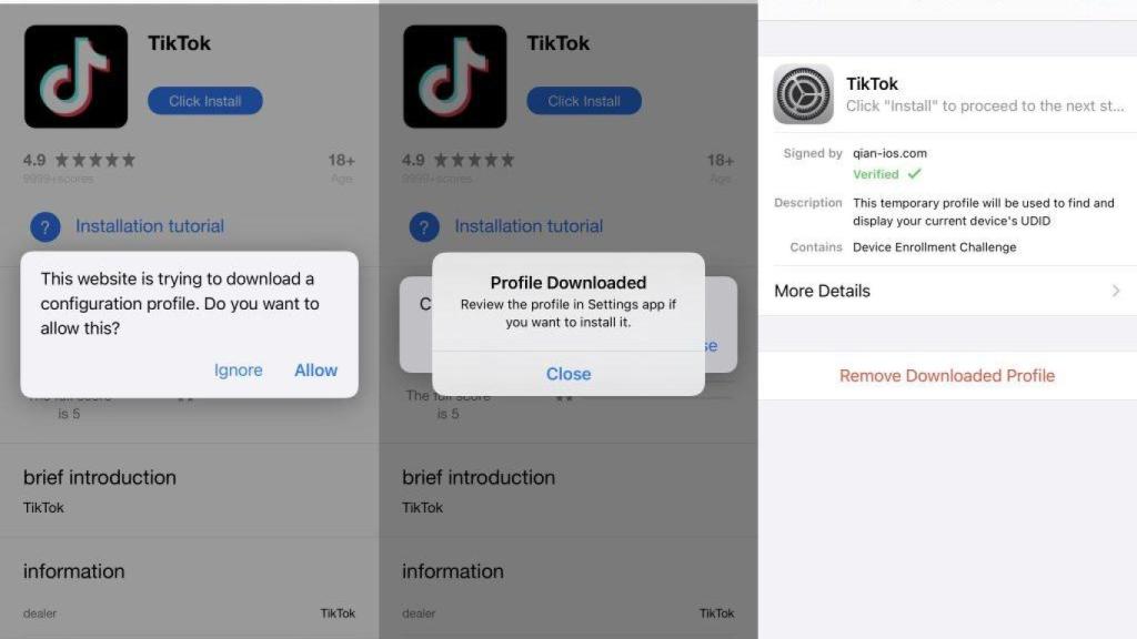 Aspecto de la versión troyanizada de TikTok