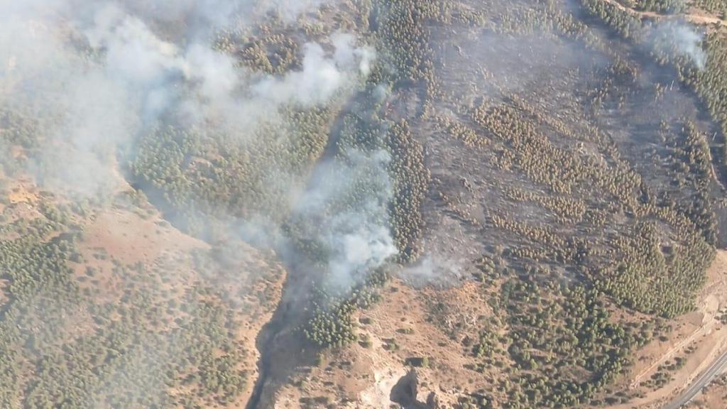 El incendio forestal de Antequera.
