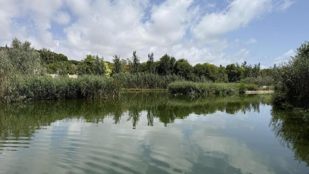 Parque La Marjal. EE