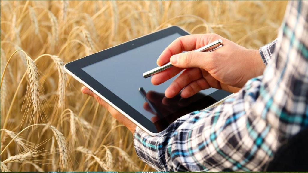 La alimentación se ha configurado en la era actual como un arma geopolítica, como lo demostró la crisis del cereal por la guerra de Ucrania.