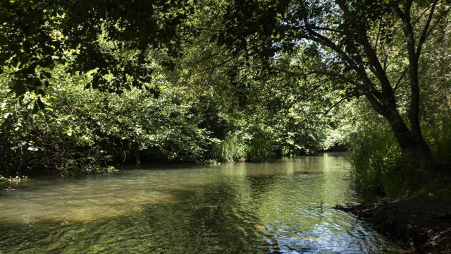 Playa fluvial en Cambre