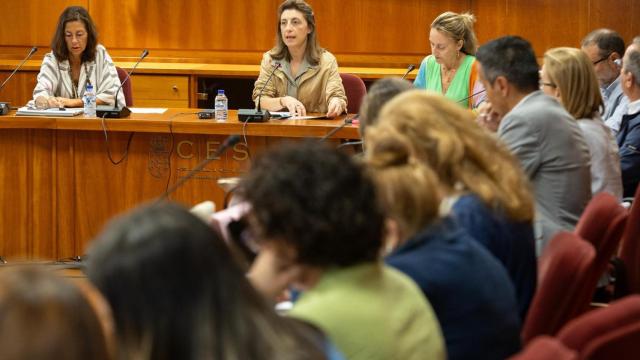 La conselleira de Medio Ambiente, Ángeles Vázquez, en el Consello de Medio Ambiente.