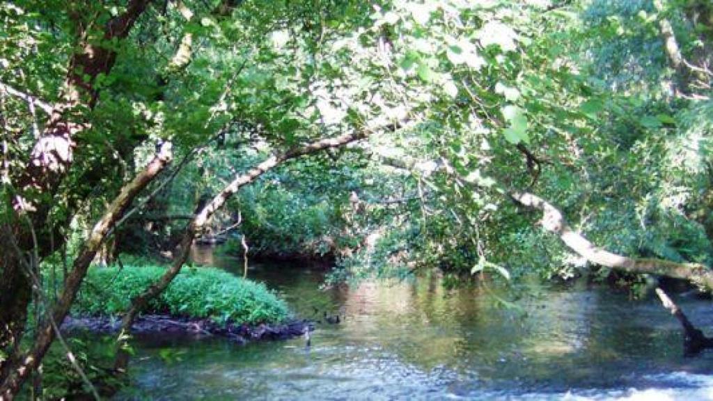 Playa fluvial de Chaián, en Trazo