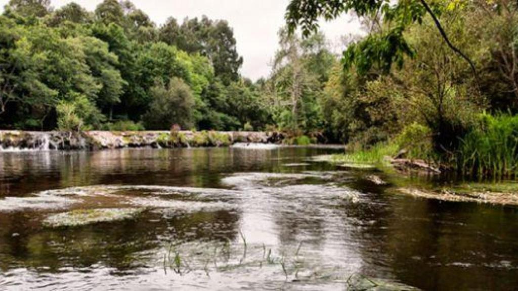 Playa fluvial O Refuxio