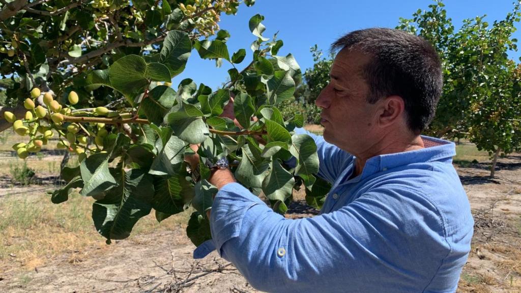 Alfredo Pérez, presidente de Pistacyl