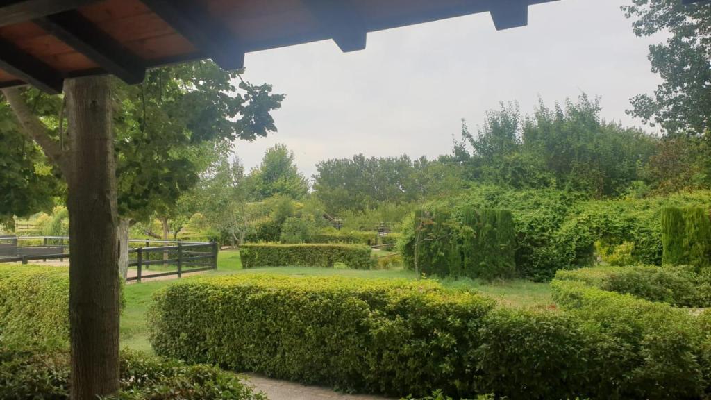 Fotografía de la Yeguada Juan Riva de Aranjuez, lugar del rodaje de 'Pura sangre'.