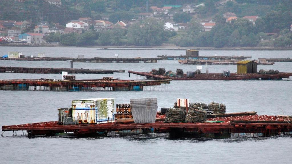 Bateas en las Rías Baixas. https://es.wikipedia.org
