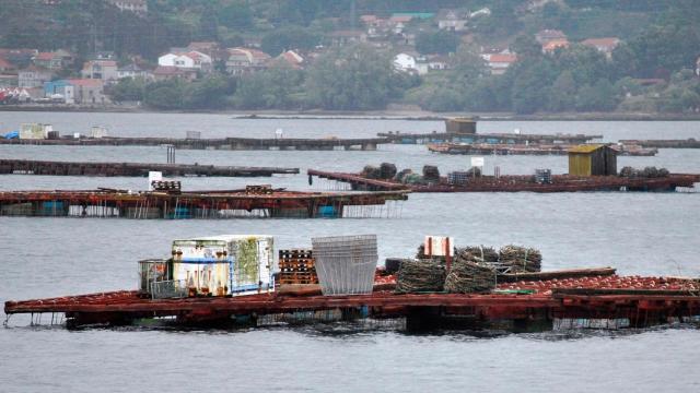 Bateas en las Rías Baixas. https://es.wikipedia.org